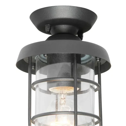 Потолочный светильник Pointer 3021-1P Favourite уличный IP44 чёрный 1 лампа, плафон прозрачный в стиле современный E27 фото 3